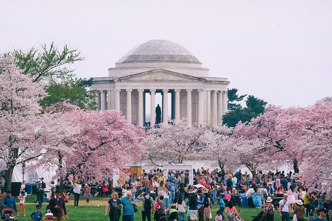 Private Washington DC City Tour - Pennsylvania Avenue drive-by stops: the landmarks you’ll recognize fast