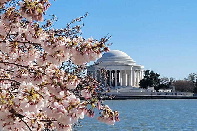 Private Washington DC Tour with Changing of the Guard Ceremony - Key highlights worth your time
