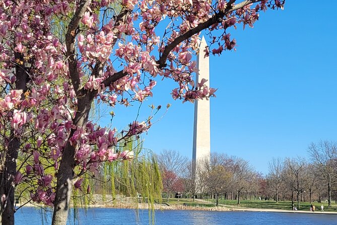 Private Washington DC Tour with Changing of the Guard Ceremony - Air Force Memorial and Pentagon views without wasting daylight