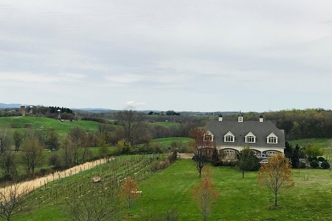 Private Washington DC Virginia Winery Wine Tasting Tour - Gray Ghost Vineyards: Owner-Led Touring and a Proper Tasting Session