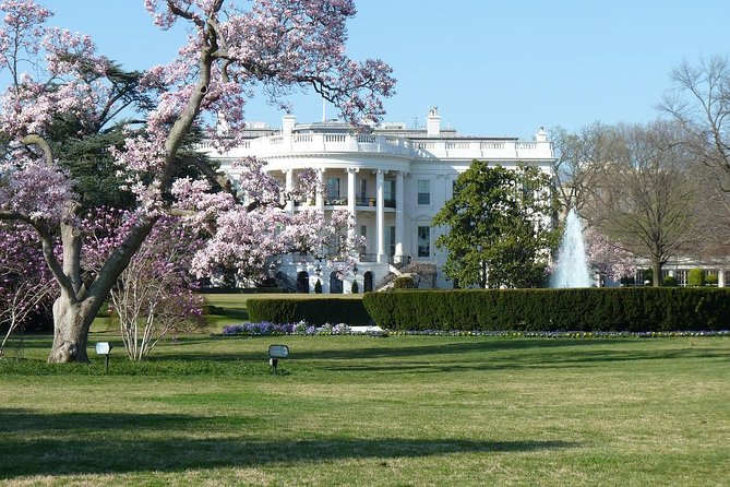 Small Group Tour of DC - Open-Top or Glass Convertible Luxury Bus - Georgetown break plus seasonal choices: cruise in summer, Kennedy Center in winter