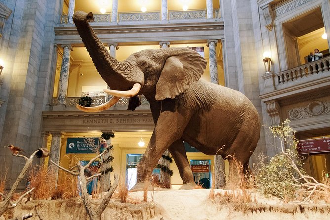 Smithsonian Museum of Natural History - Exclusive Guided Tour - Dinosaurs, Polar Bears, and the Earth’s Surface Story