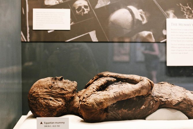 Smithsonian Museum of Natural History - Exclusive Guided Tour - Logistics That Matter: Bags, Quiet Rooms, and Lines