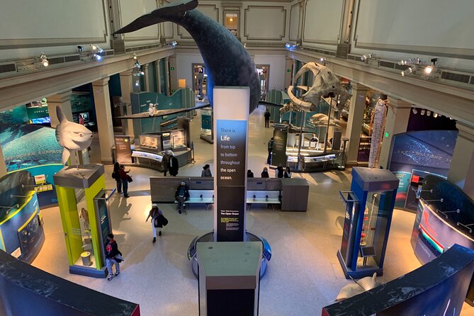 Smithsonian Museum of Natural History Guided Tour - Price and what you’re truly buying in 2 hours