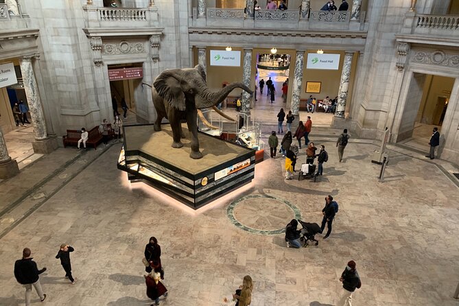 Smithsonian Museum of Natural History Guided Tour - Inside the museum: how the 2-hour route actually works