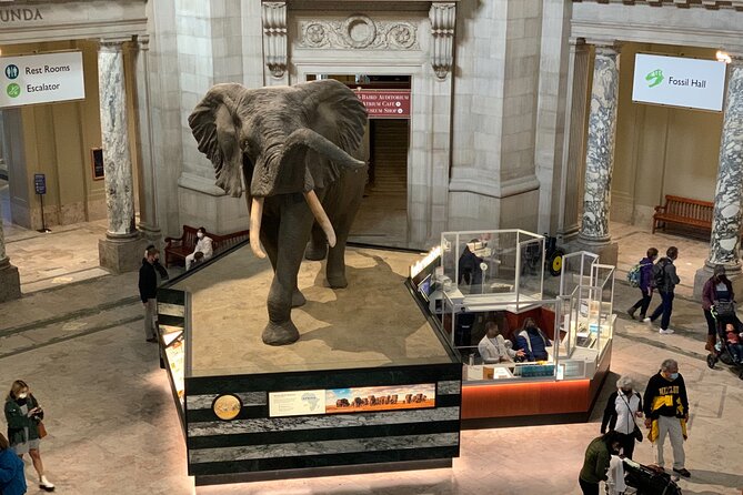 Smithsonian Museum of Natural History Guided Tour - Dinosaur questions, early humans, and the art of not wandering