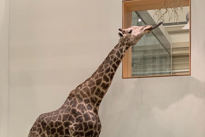 Smithsonian Museum of Natural History Guided Tour - Guides can make or break it: what the best guides did