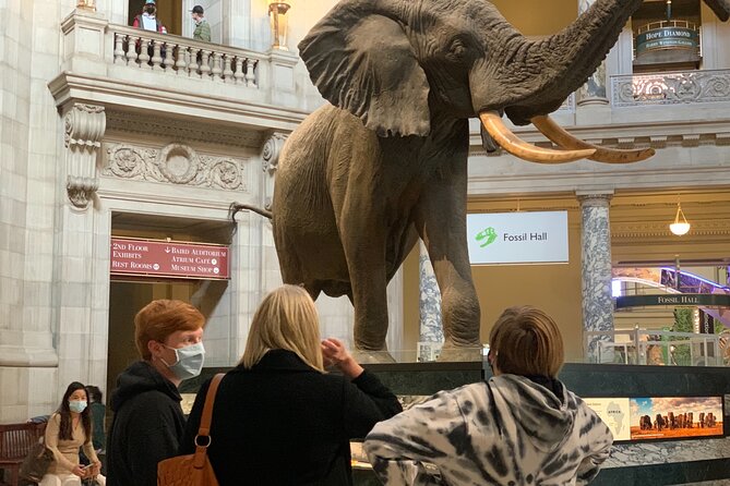 Smithsonian Museum of Natural History Guided Tour - After your tour: using the remaining time wisely