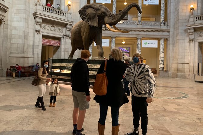 Smithsonian Museum of Natural History Guided Tour - Should you book the Smithsonian Natural History guided tour?