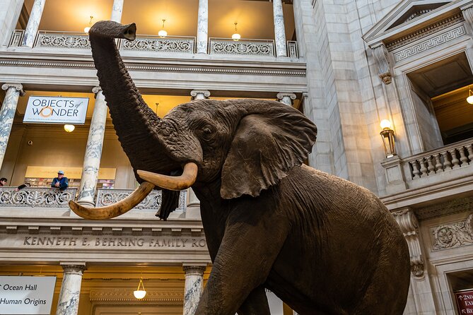 Smithsonian Museums Walking Tour with Reserved Air & Space Entry - The smart reason to choose a highlights walk in DC