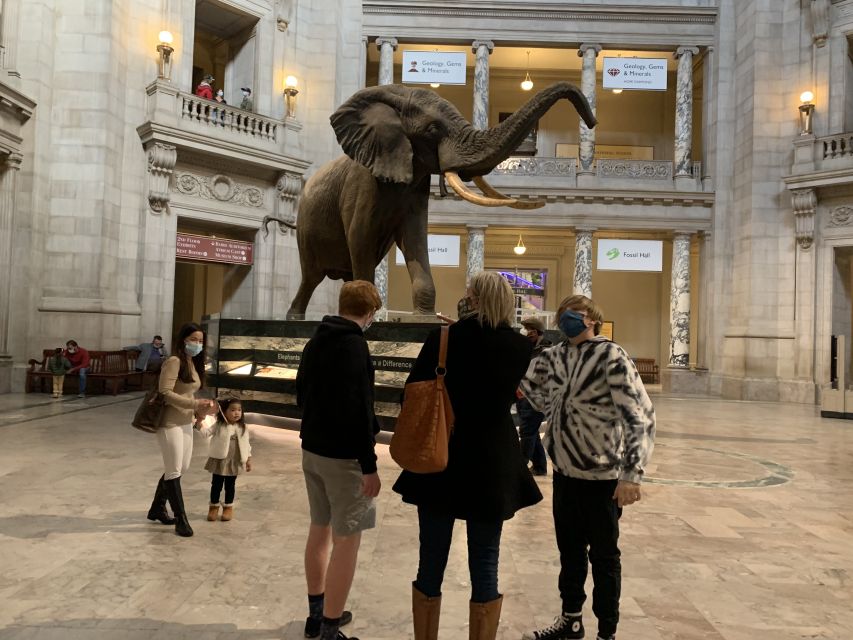 Smithsonian National Museum of Natural History Guided Tour - Should You Book This Tour?