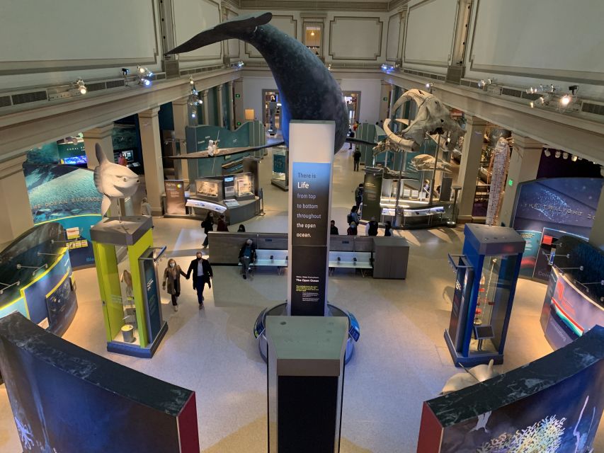 Smithsonian National Museum of Natural History Guided Tour - Dinosaurs, Gemstones, and Mummies: The Highlights You’ll Remember