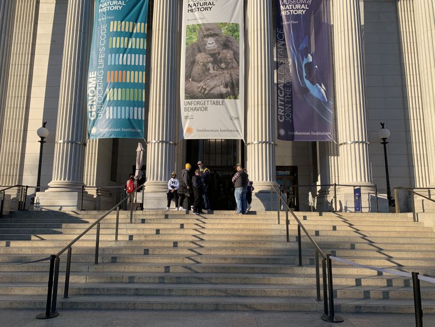 Smithsonian National Museum of Natural History Guided Tour - Human Artifacts and Early Tools: Where the Story Gets Personal