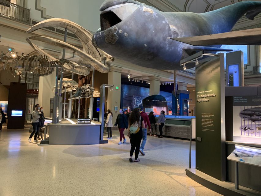 Smithsonian National Museum of Natural History Guided Tour - How the Guide Changes Everything: Nur, DC, and the Best Kind of Energy