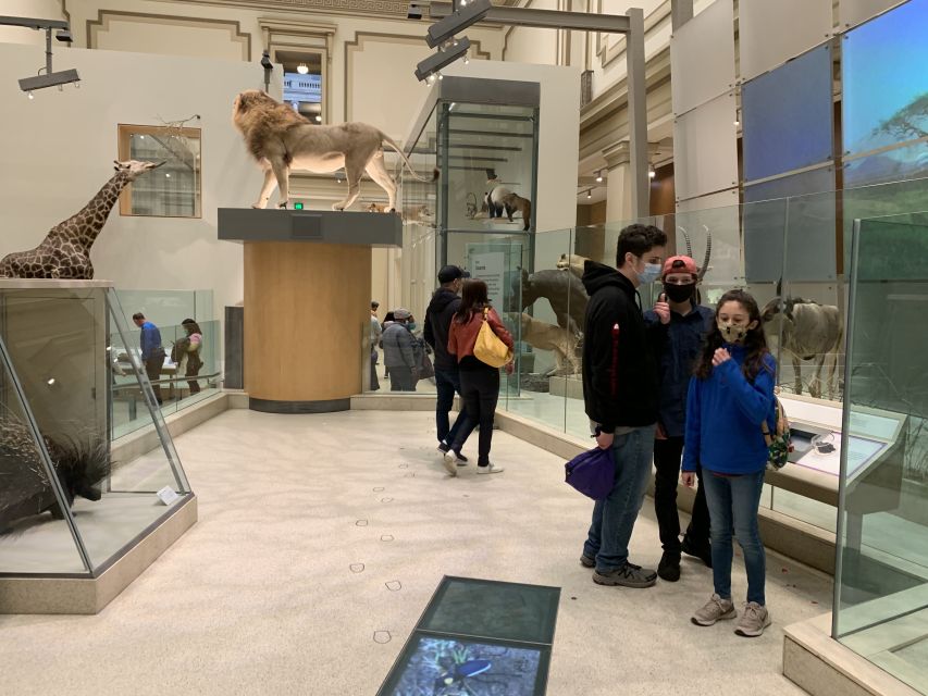Smithsonian National Museum of Natural History Guided Tour - Price and Value: $75 Makes Sense If You’re Here for Efficiency
