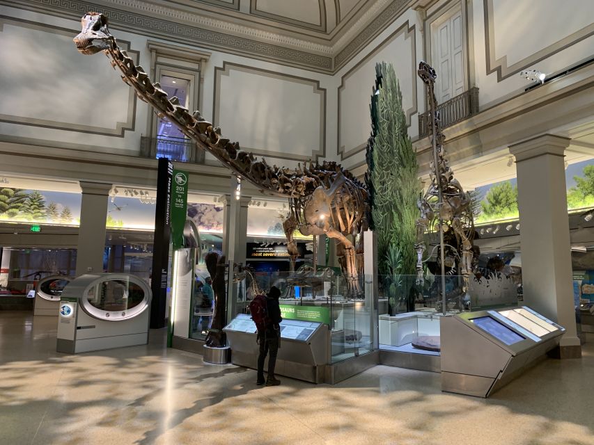 Smithsonian National Museum of Natural History Guided Tour - Pacing, Group Fit, and What to Do Right After