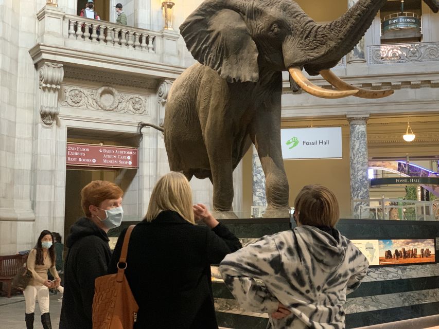 Smithsonian National Museum of Natural History Guided Tour - Included vs. Not Included: Plan Your Day Around It