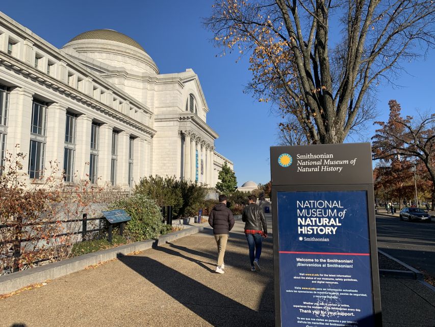 Smithsonian National Museum of Natural History Guided Tour - The 145 Million Specimens Challenge (And How the Tour Solves It)