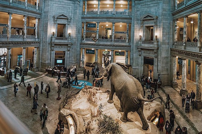 Smithsonian Natural History + Museum of American History 8ppl Max - Stop 1: Smithsonian Natural History From Henry The Elephant To Fossil Hall