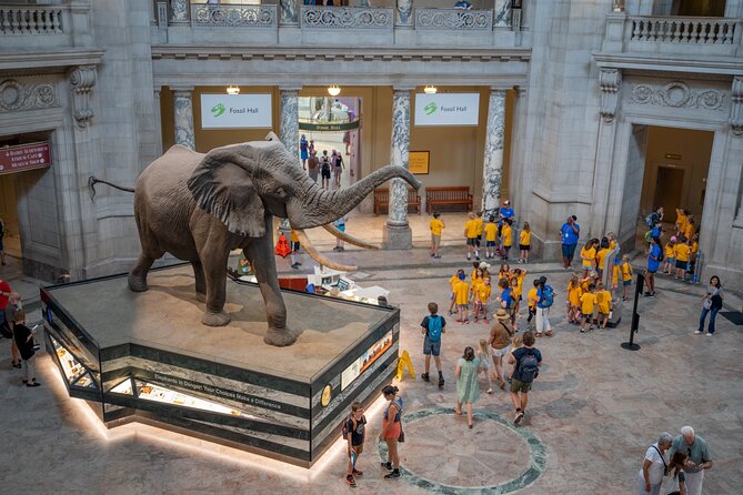 Smithsonian Natural History Museum Semi-Private Guided Tour - Key highlights to look for