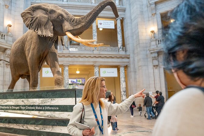 Smithsonian Natural History Museum Semi-Private Guided Tour - Getting oriented at Unscripted before the Smithsonian crush
