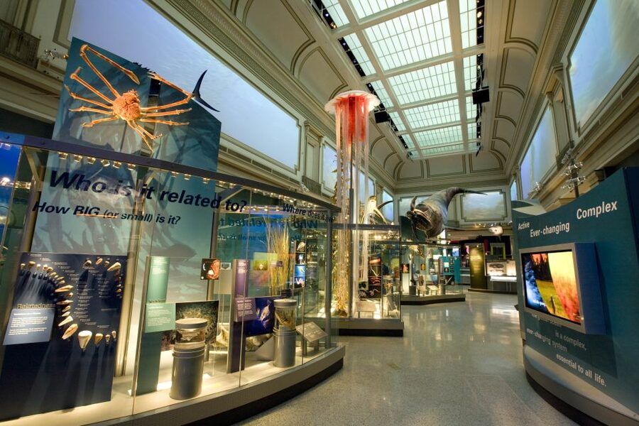 Smithsonian Natural History Museum Tour Semi-Private 8ppl - Fossil Lab and Arctic Narwhal: where the tour gets practical