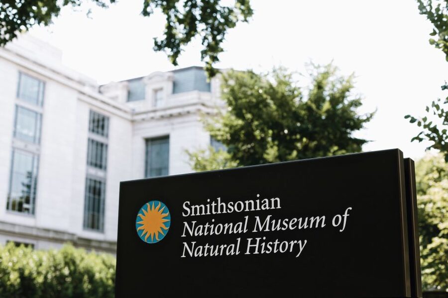 Smithsonian Natural History Museum Tour Semi-Private 8ppl - The guides are the real upgrade (and they tailor the route)