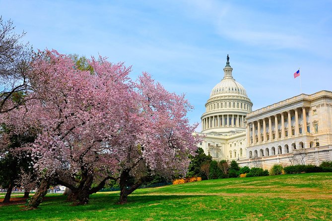 The DC Cherry Blossom Bus Tour with Tidal Basin Guided Walk - Tidal Basin guided walk: where the cherry blossoms do the talking