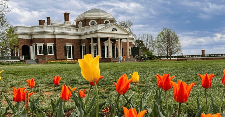Thomas Jefferson Monticello Small Group Day Tour from DC - Jefferson on Display: Why This Tour’s Balance Feels More Honest
