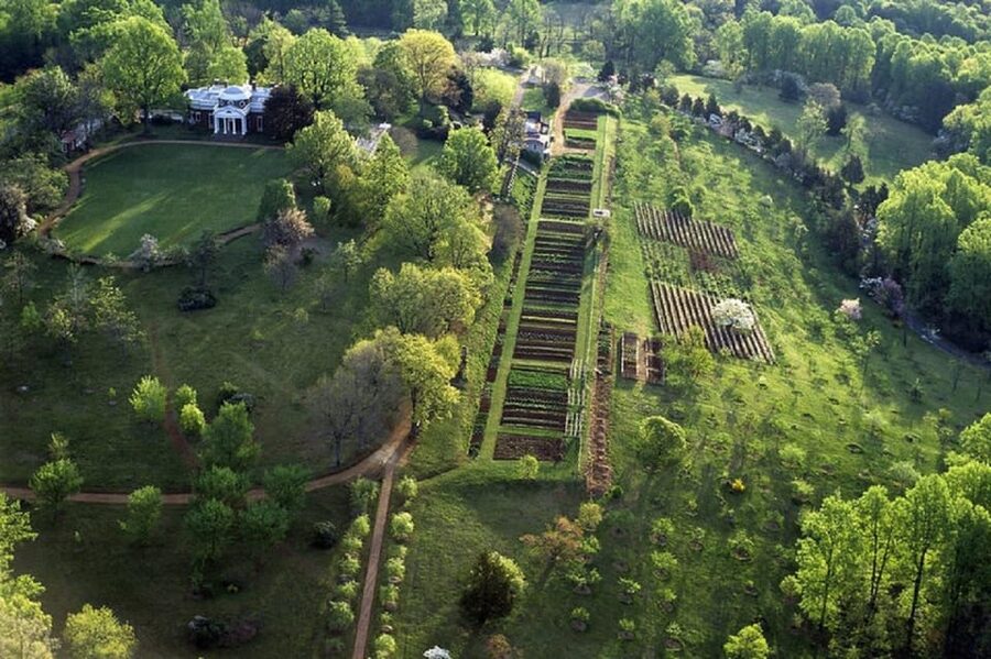 Thomas Jefferson Monticello Small Group Day Tour from DC - Should You Book This Monticello Day Tour From DC?