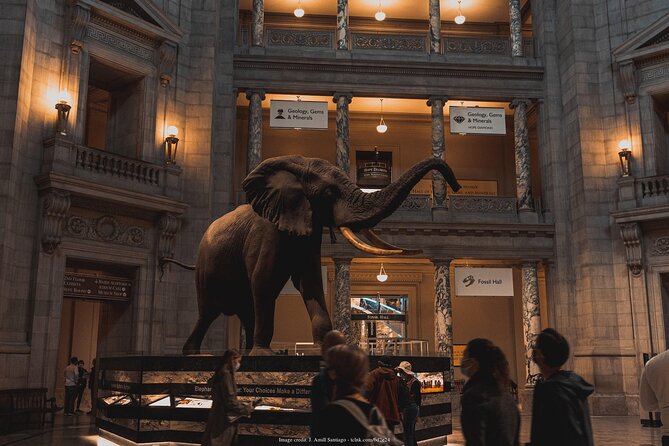 Two Smithsonian Museums Private Tour: American & Natural History - American History Museum: from politics and pop culture to personal stories