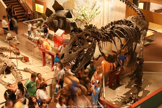 Two Smithsonian Museums Private Tour: American & Natural History - Logistics that matter: meeting points, transit, and moving fast