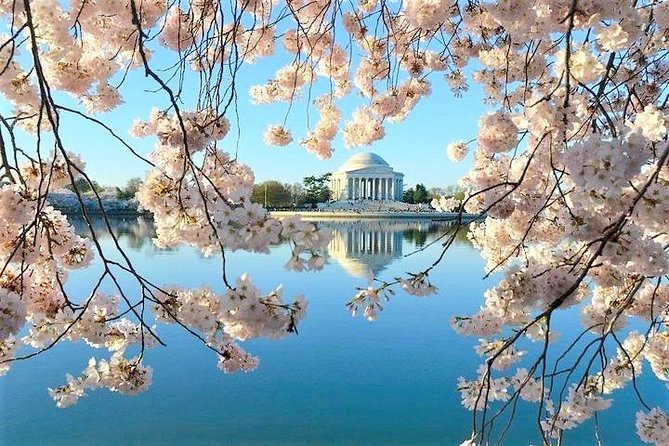 Ultimate Private City Tour of Washington DC - Up to 5 Guests - The Human Part: Guides That Make It Click (Daniel, Dean, Rich, Ramon, Wes, Cassie)