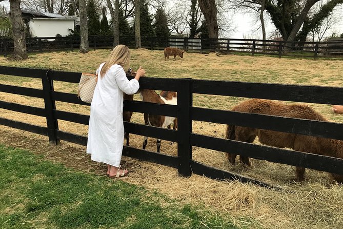 Virginia Wineries Guided Tour and Tastings from Washington DC - Key highlights worth circling
