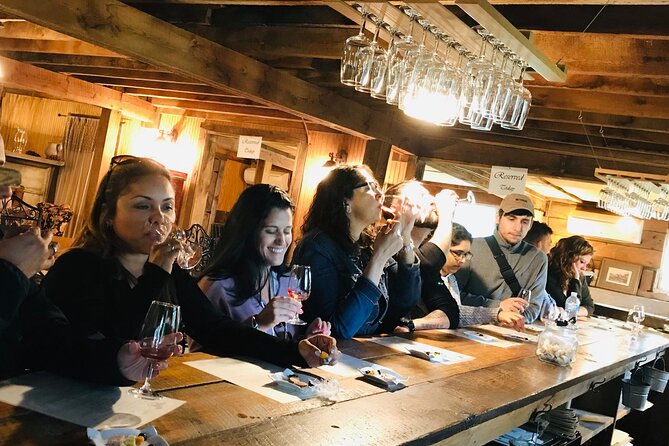 Virginia Wineries Guided Tour and Tastings from Washington DC - The guides: wine experts, not just a driver with a microphone