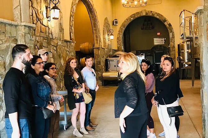 Virginia Wineries Guided Tour and Tastings from Washington DC - The day’s rhythm: a two-winery format that stays fun