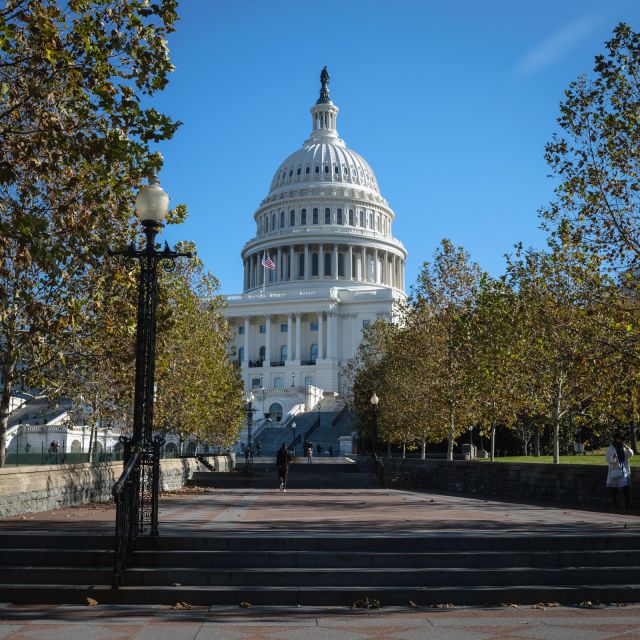 Washington: Cherry Blossom Tour - Martin Luther King Jr. Memorial: A Different Kind of Monument