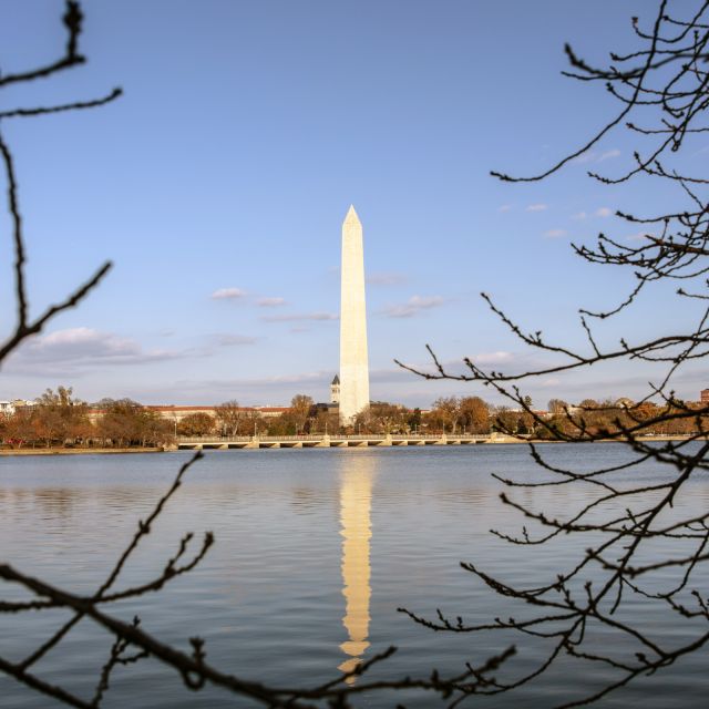 Washington: Cherry Blossom Tour - The 4-Hour Schedule: How the Pace Works (and When It Doesn’t)