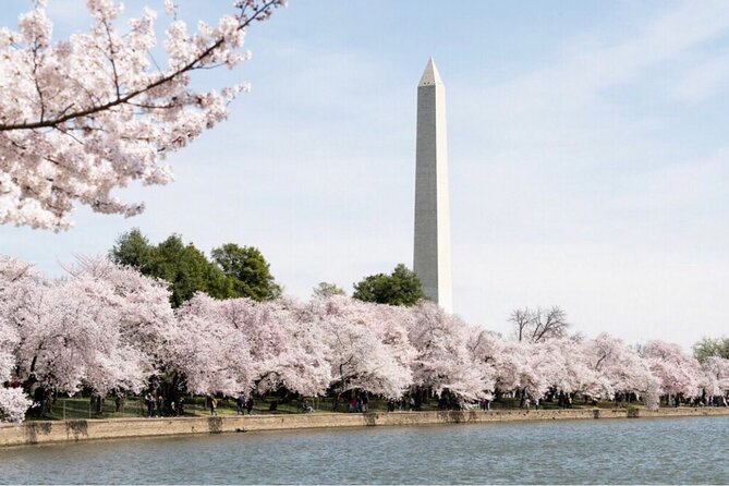 Washington, D.C. Private 4-Hour Day Tour - Jefferson, Lincoln, and the memorials that teach you how DC tells stories
