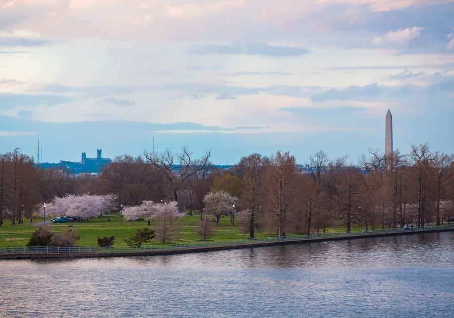 Washington DC: 1 or 2-Day Unlimited Water Taxi Pass - Comfort on Board: Air Conditioning and a More Relaxed Pace