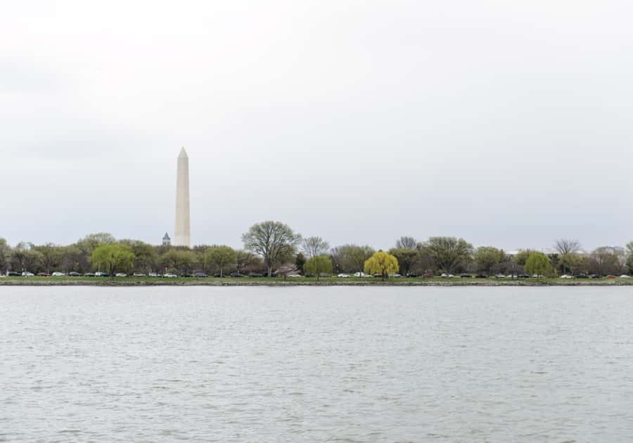 Washington DC: 1 or 2-Day Unlimited Water Taxi Pass - Audio Commentary on Select Routes: Use It, Don’t Force It