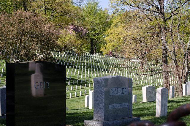 Washington DC: Arlington Nat. Cemetery Ticket & Tram Tour - Quick Hits Before You Ride