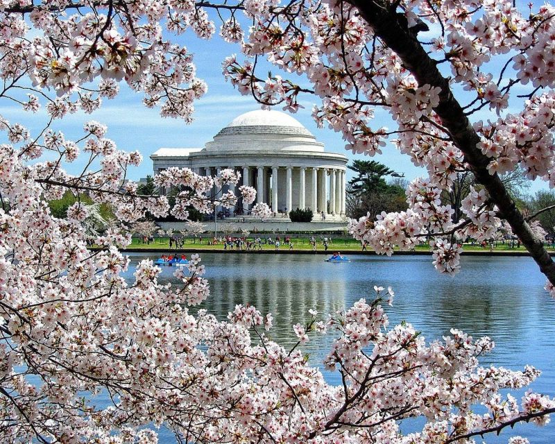 Washington DC: Cherry Blossom Walking Tour - Dr Martin Luther King Jr. Memorial: Freedom, equality, and justice