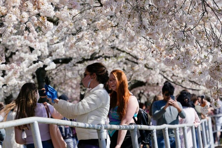 Washington DC: Cherry Blossom Walking Tour - Lincoln Memorial: The symbolism you can actually see
