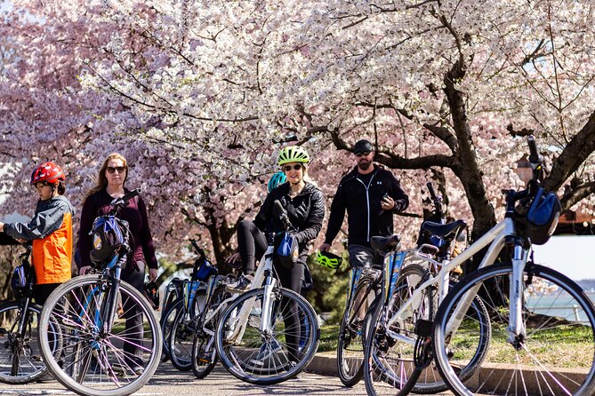 Washington DC Cherry Blossoms By Bike Tour - Why this cherry blossom bike tour centers on the Tidal Basin
