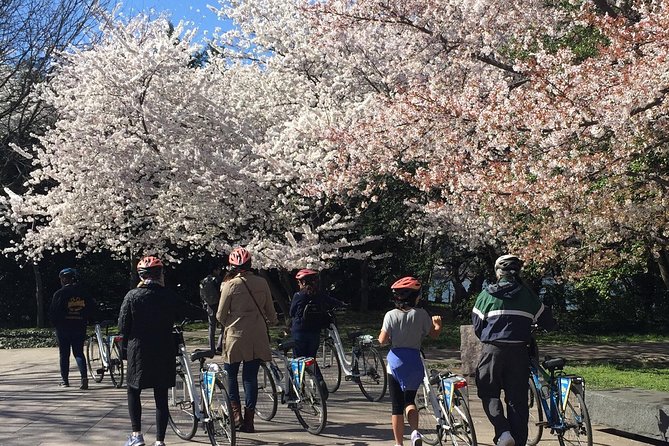 Washington DC Cherry Blossoms By Bike Tour - The ride style: easy biking, but expect walking and sidewalk crowding