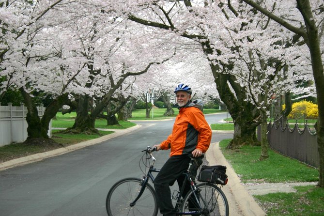 Washington DC Cherry Blossoms By Bike Tour - Comfort checks: bike seats, e-bike assistance, and quick fixes