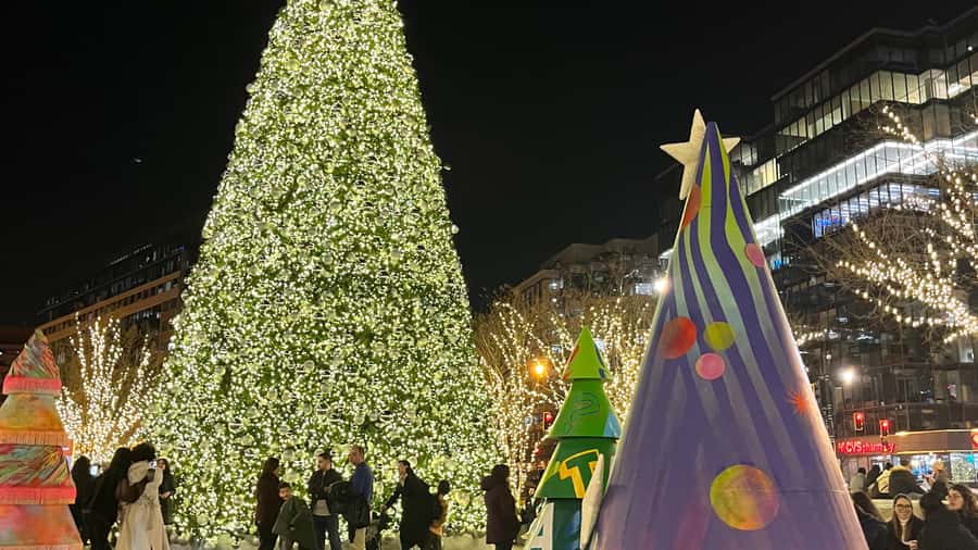 Washington, DC: Christmas Tree & Holiday Lights Bus Tour - Quick hits before you go