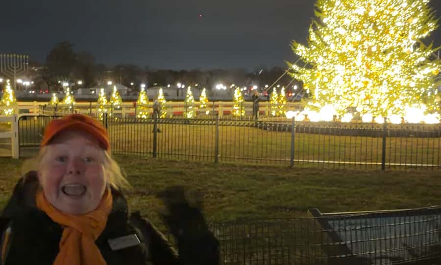 Washington, DC: Christmas Tree & Holiday Lights Bus Tour - Why this holiday lights bus tour fits DC timing