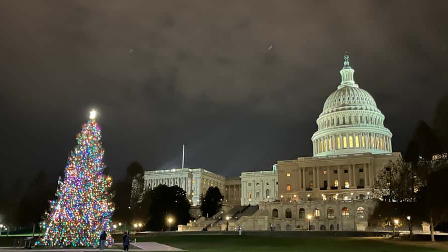 Washington, DC: Christmas Tree & Holiday Lights Bus Tour - Capitol Christmas Tree: your classic photo stop near the dome
